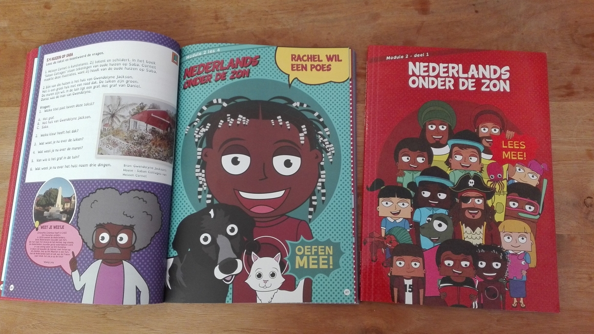 Cover Nederlands onder de zon module 2